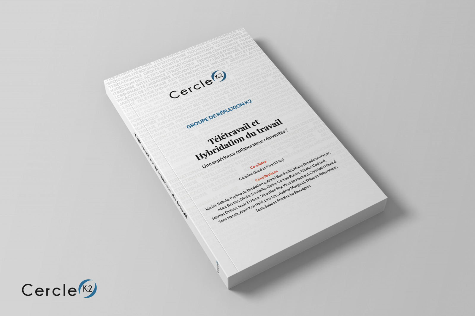 TT-&-Hybridation---2---Couverture-biais-large TT-&-Hybridation---2---Couverture-biais-large